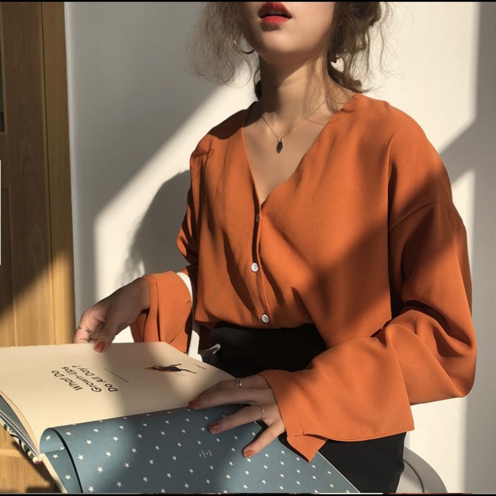 Collarless V line blouse